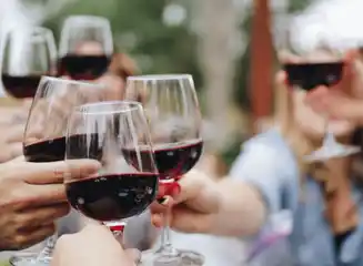 Silves & Wine Tasting