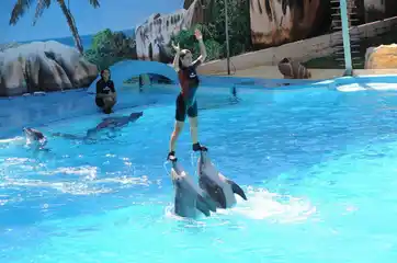 Zoomarine - Entrance Ticket