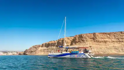 Summer Fun Catamaran Cruise - Half Day