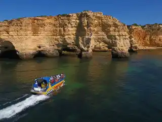 Dreamer - Caves and Dolphins