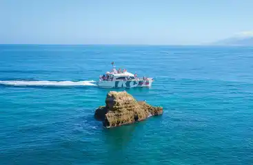 Benagil Caves & Coast (from Portimao)