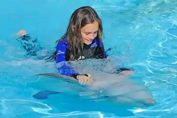 Zoomarine - Dolphin Emotions 