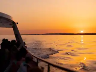 Sunset Vibes - Catamaran Cruise