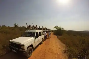 Alsafari Jeep Safari - Half Day