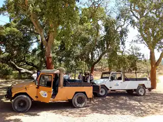 Alsafari Jeep Safari - Full Day